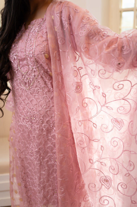 Aiza organza suit set