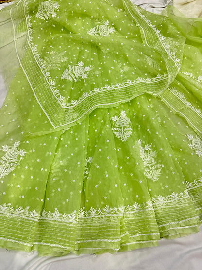 Rabab organza saree