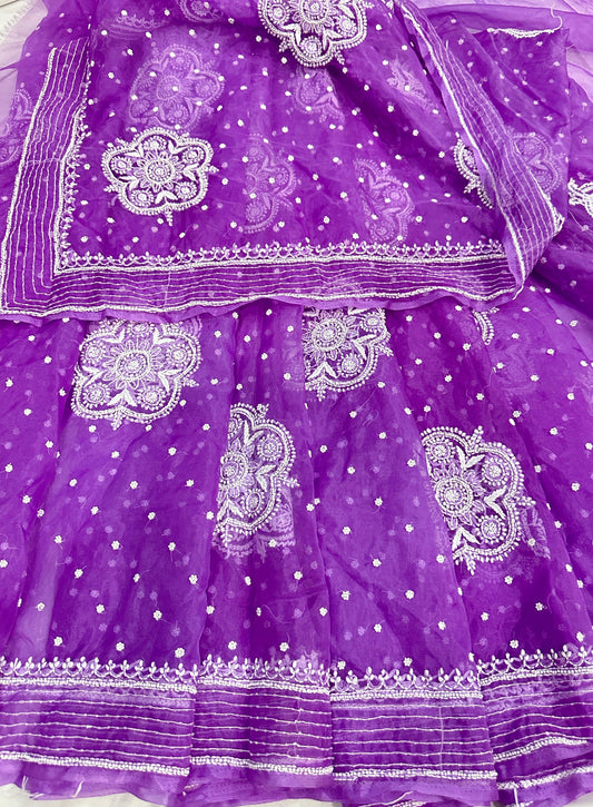 Rabab organza saree