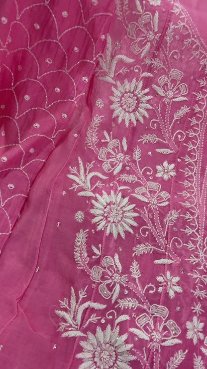 Mehwish mul Anarkali